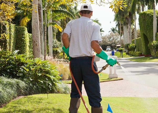 About Ellabell GA Pest Control Pros